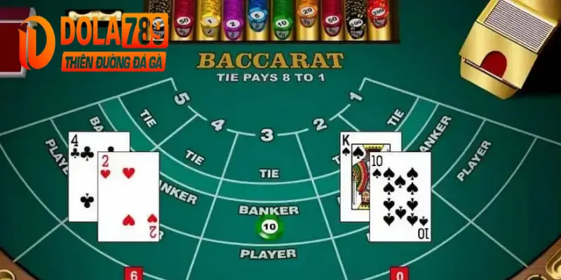 Cao thủ chơi Baccarat
