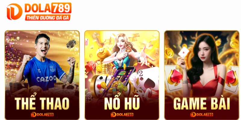 DOLA789 cam kết môi trường cá cược lành mạnh, công bằng