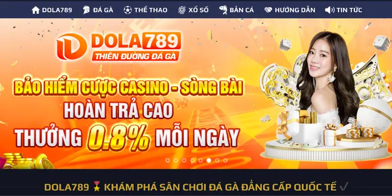 Hoàn trả 0,8% mỗi ngày khi cược casino - sòng bài được nhiều người tham gia.