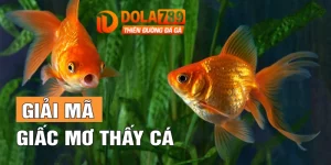 Mơ Thấy Cá Đánh Con Gì